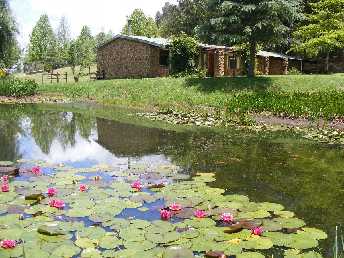 Meadow Lane Country Cottages アンダーバーグ エクステリア 写真