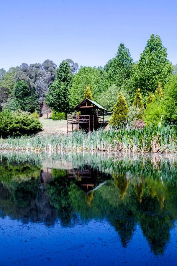 Meadow Lane Country Cottages アンダーバーグ エクステリア 写真